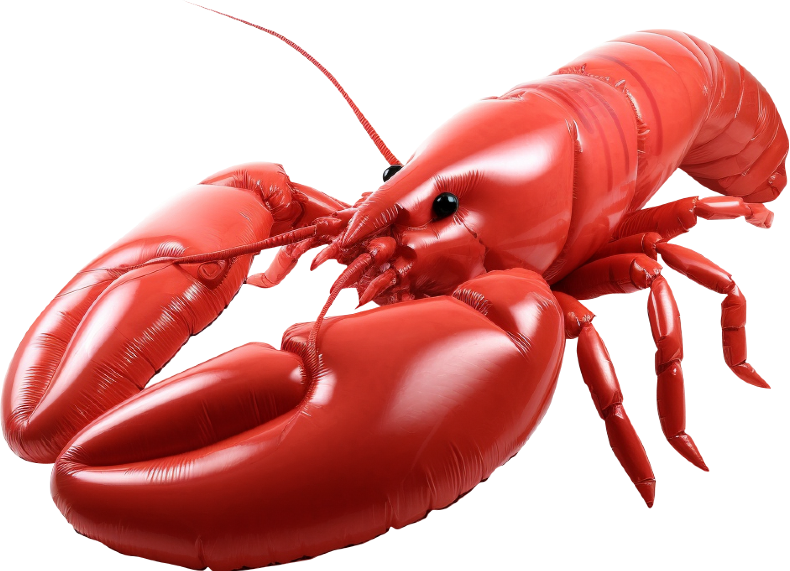 StreetXO lobster